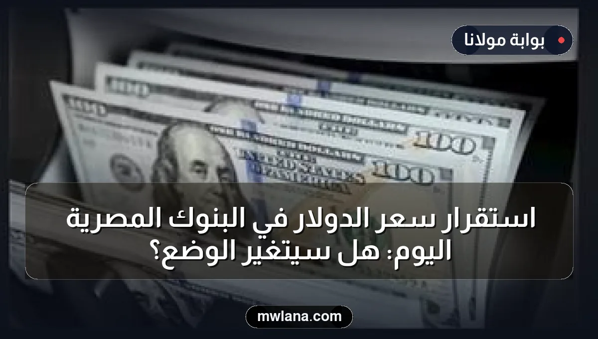 استقرار سعر الدولار في البنوك المصرية اليوم: هل سيتغير الوضع؟