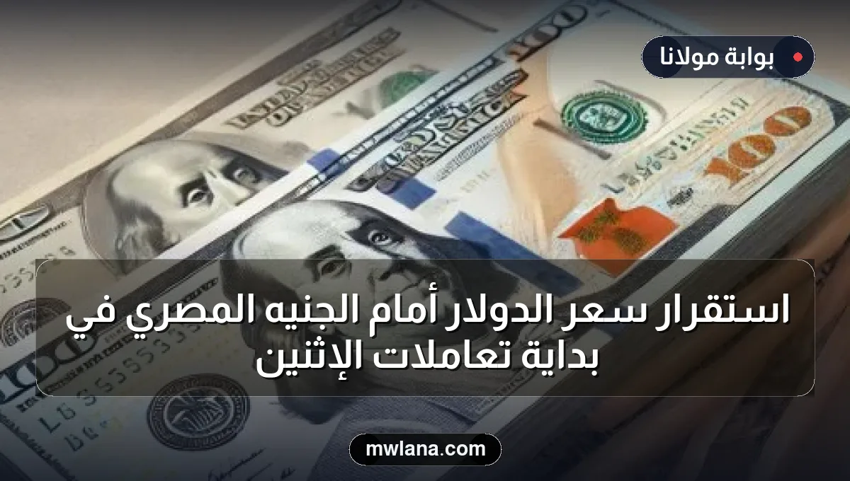 استقرار سعر الدولار أمام الجنيه المصري في بداية تعاملات الإثنين