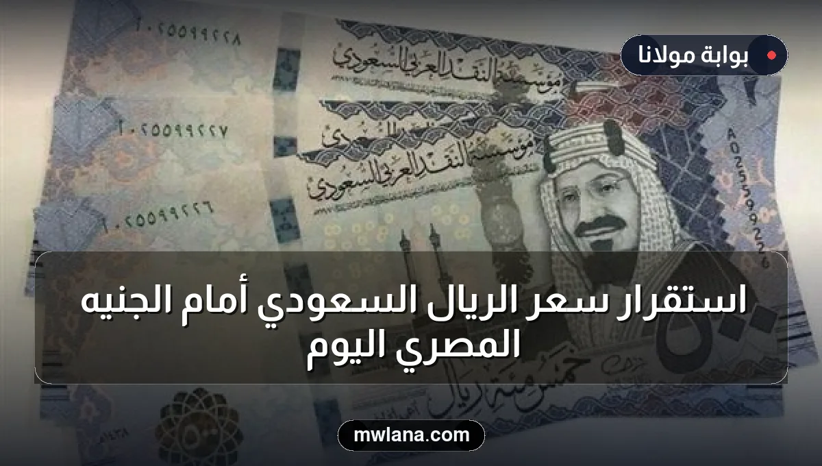 استقرار سعر الريال السعودي أمام الجنيه المصري اليوم