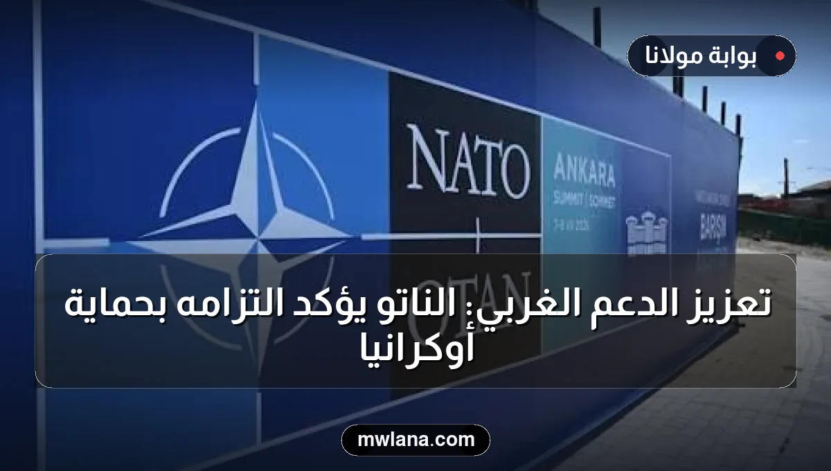 تعزيز الدعم الغربي: الناتو يؤكد التزامه بحماية أوكرانيا