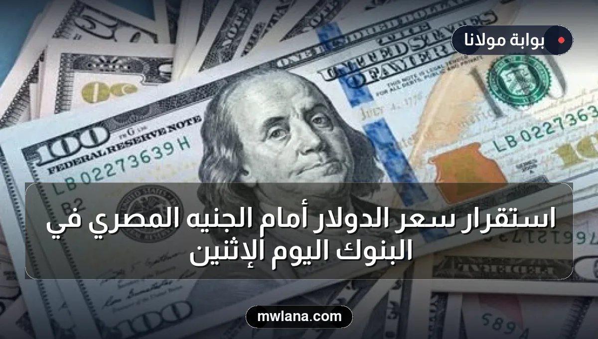 استقرار سعر الدولار أمام الجنيه المصري في البنوك اليوم الإثنين