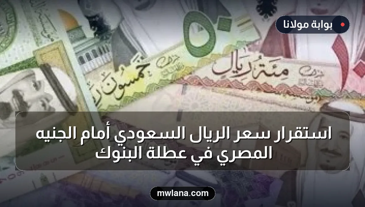 استقرار سعر الريال السعودي أمام الجنيه المصري في عطلة البنوك