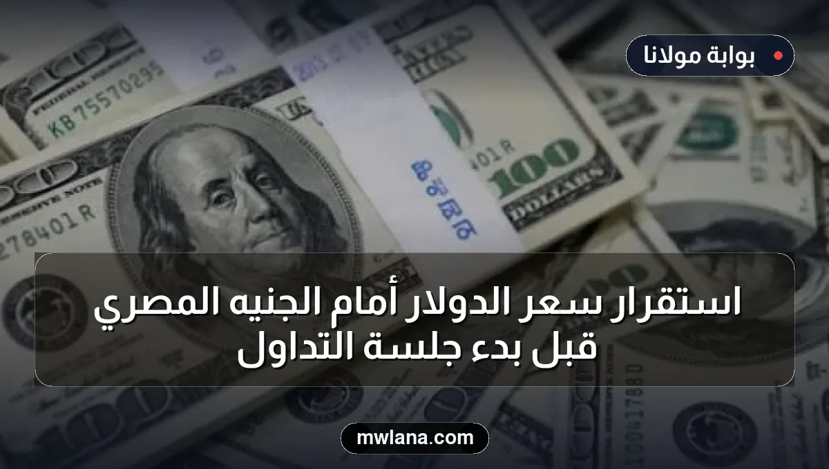 استقرار سعر الدولار أمام الجنيه المصري قبل بدء جلسة التداول