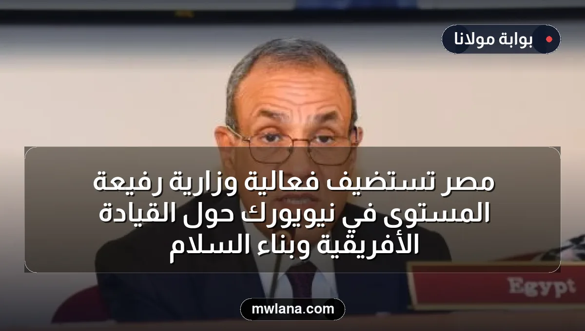 مصر تستضيف فعالية وزارية رفيعة المستوى في نيويورك حول القيادة الأفريقية وبناء السلام