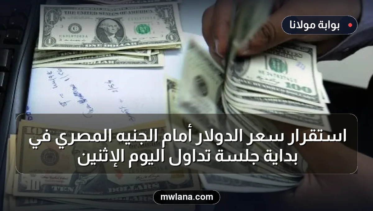 استقرار سعر الدولار أمام الجنيه المصري في بداية جلسة تداول اليوم الإثنين
