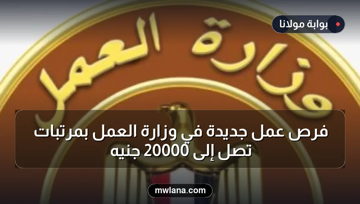 فرص عمل جديدة في وزارة العمل بمرتبات تصل إلى 20000 جنيه