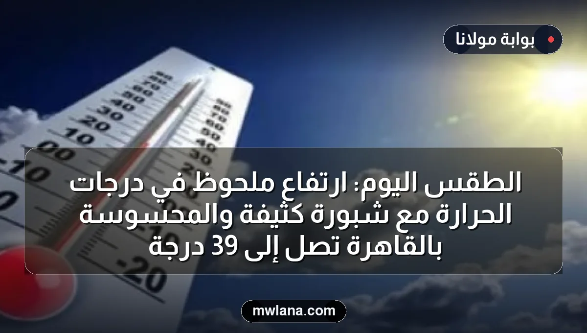 الطقس اليوم: ارتفاع ملحوظ في درجات الحرارة مع شبورة كثيفة والمحسوسة بالقاهرة تصل إلى 39 درجة