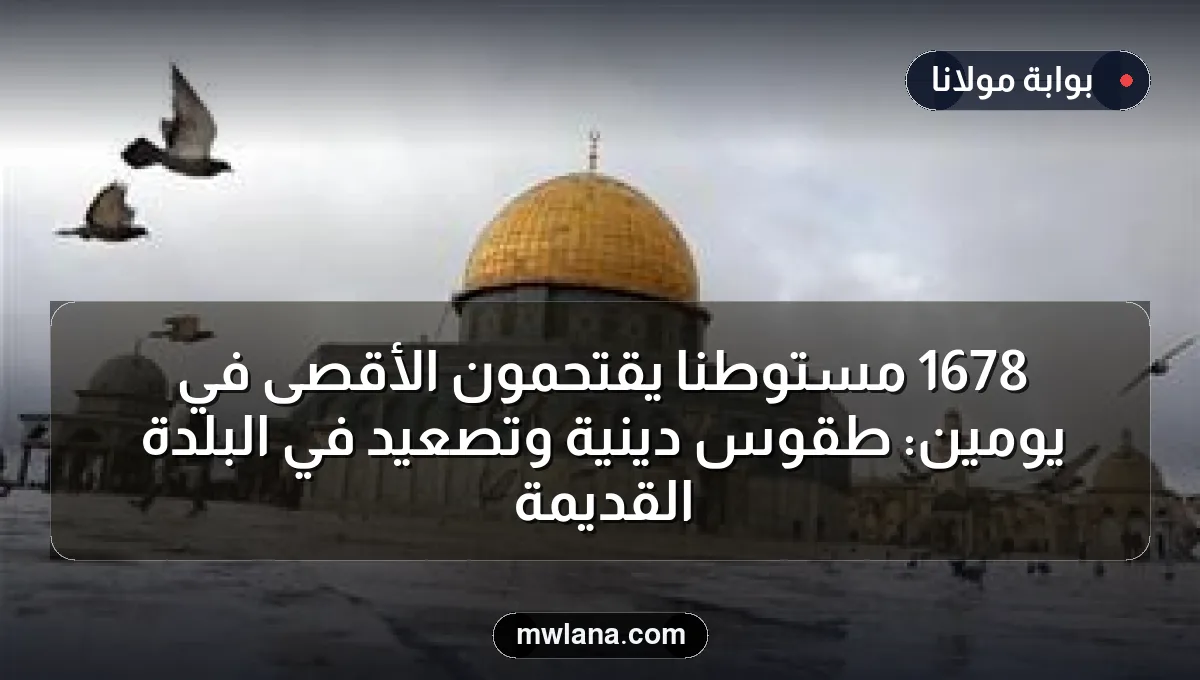 1678 مستوطنًا يقتحمون الأقصى في يومين: طقوس دينية وتصعيد في البلدة القديمة