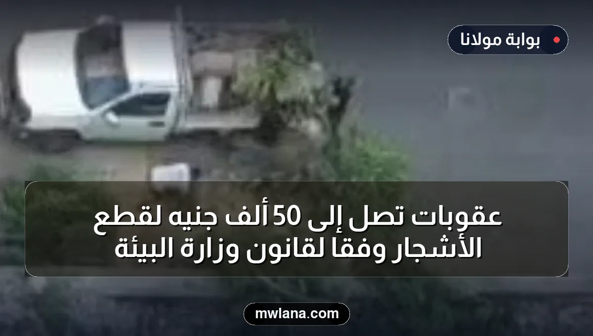 عقوبات تصل إلى 50 ألف جنيه لقطع الأشجار وفقًا لقانون وزارة البيئة