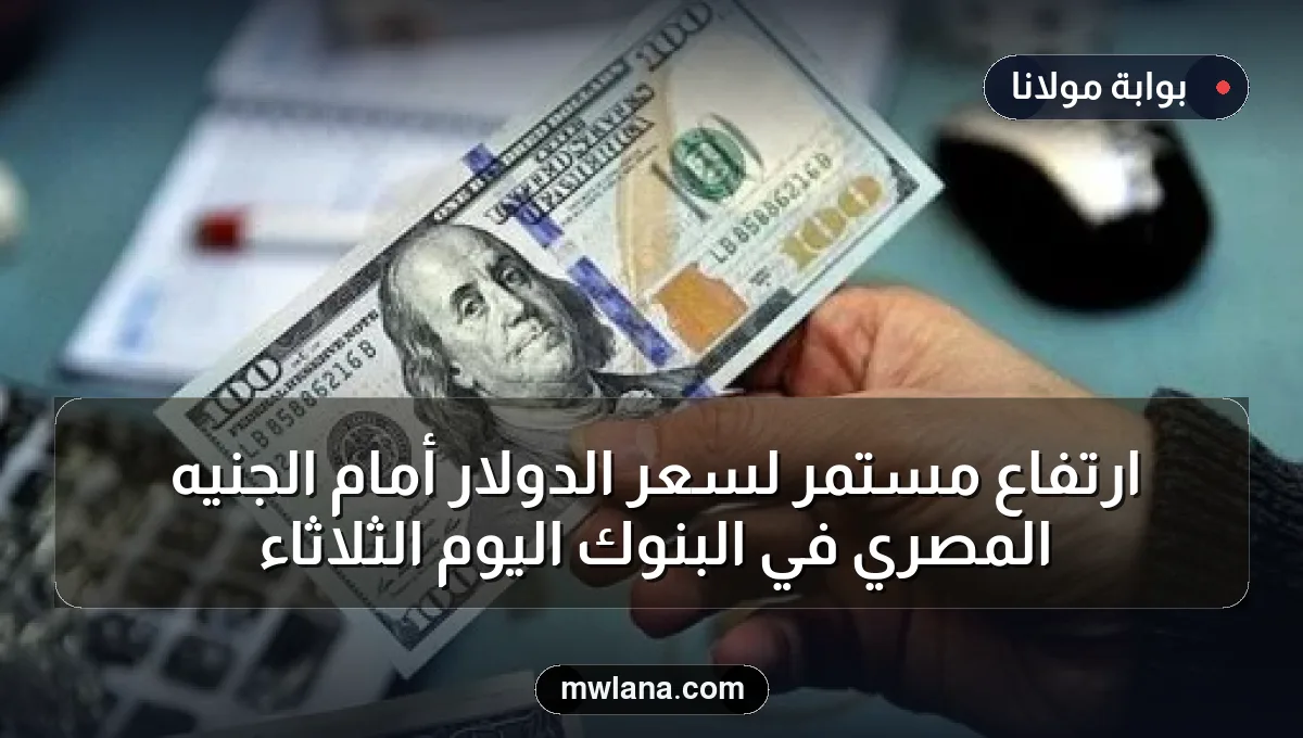 ارتفاع مستمر لسعر الدولار أمام الجنيه المصري في البنوك اليوم الثلاثاء
