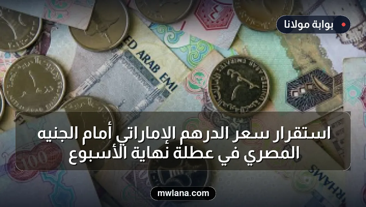 استقرار سعر الدرهم الإماراتي أمام الجنيه المصري في عطلة نهاية الأسبوع