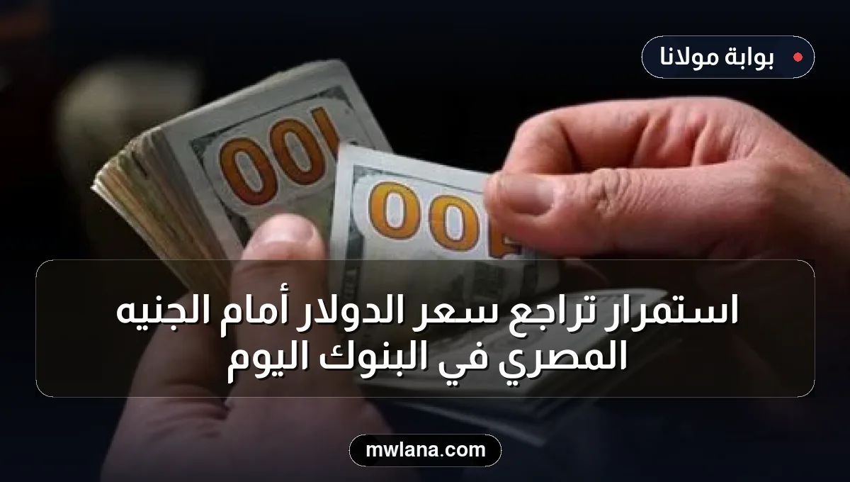 استمرار تراجع سعر الدولار أمام الجنيه المصري في البنوك اليوم