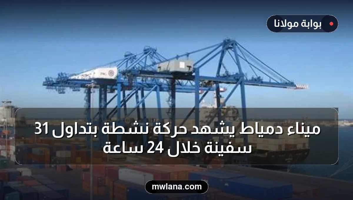ميناء دمياط يشهد حركة نشطة بتداول 31 سفينة خلال 24 ساعة