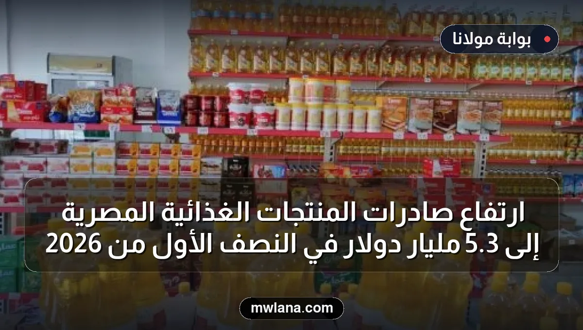 ارتفاع صادرات المنتجات الغذائية المصرية إلى 3.5 مليار دولار في النصف الأول من 2026