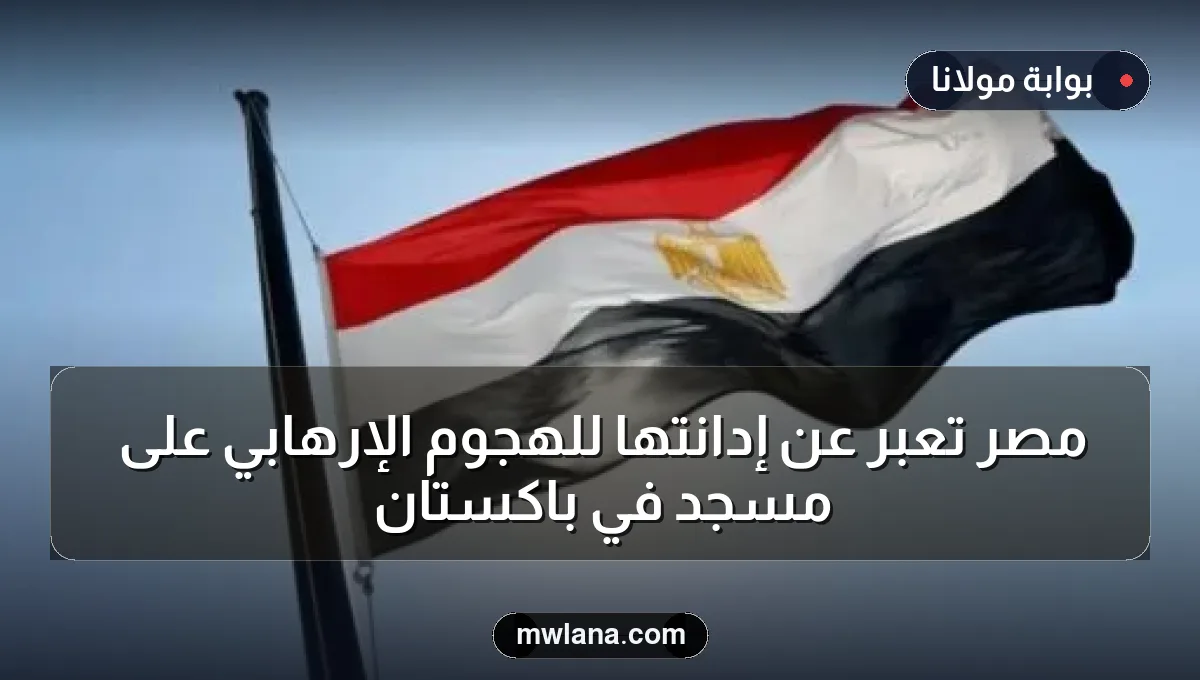 مصر تعبر عن إدانتها للهجوم الإرهابي على مسجد في باكستان