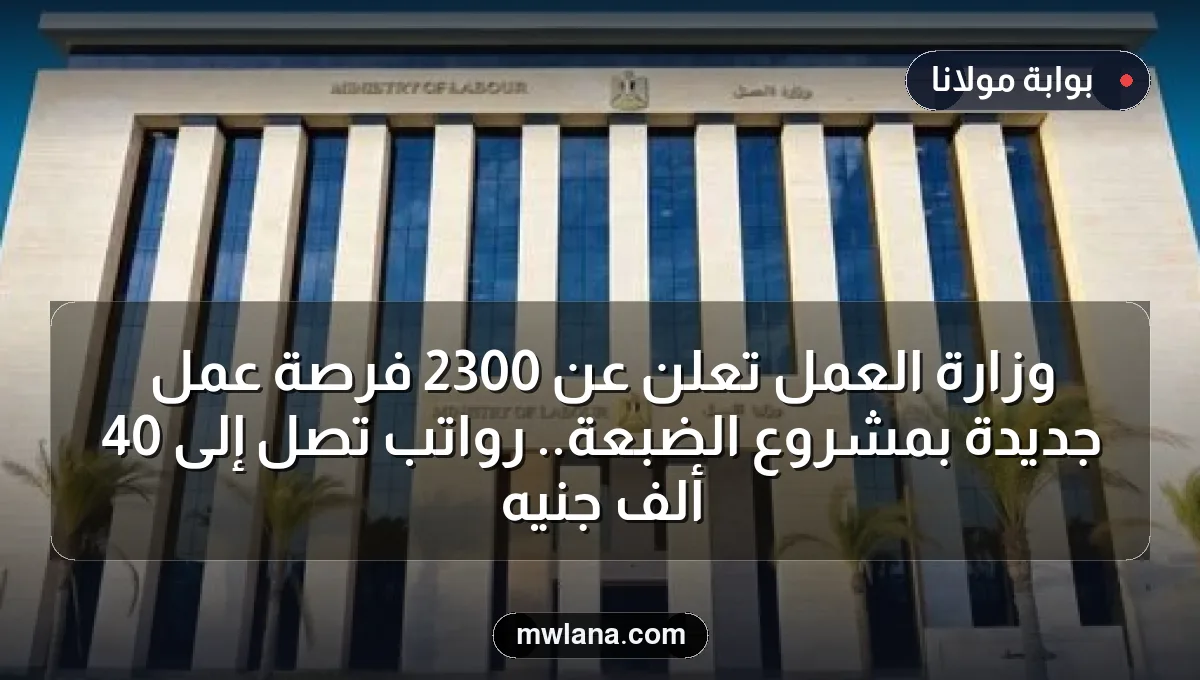 وزارة العمل تُعلن عن 2300 فرصة عمل جديدة بمشروع الضبعة.. رواتب تصل إلى 40 ألف جنيه