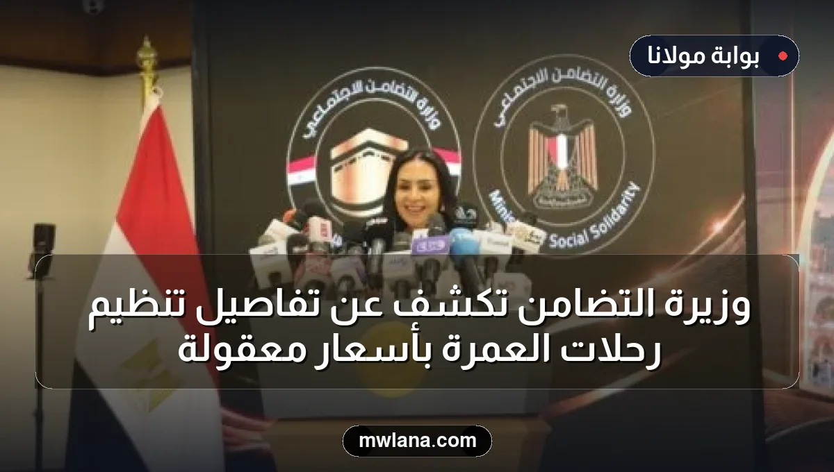 وزيرة التضامن تكشف عن تفاصيل تنظيم رحلات العمرة بأسعار معقولة