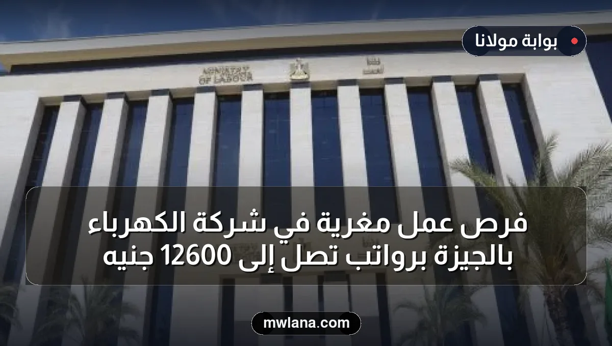 فرص عمل مغرية في شركة الكهرباء بالجيزة برواتب تصل إلى 12600 جنيه