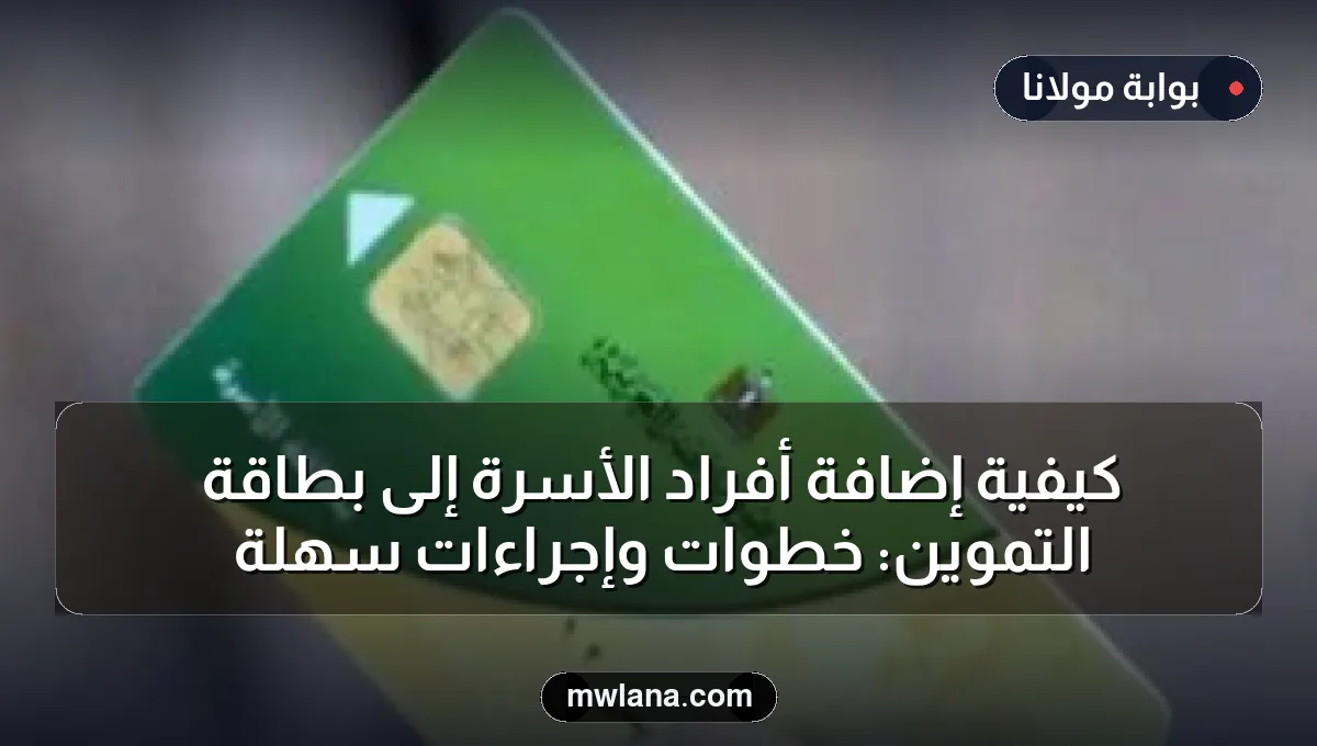كيفية إضافة أفراد الأسرة إلى بطاقة التموين: خطوات وإجراءات سهلة