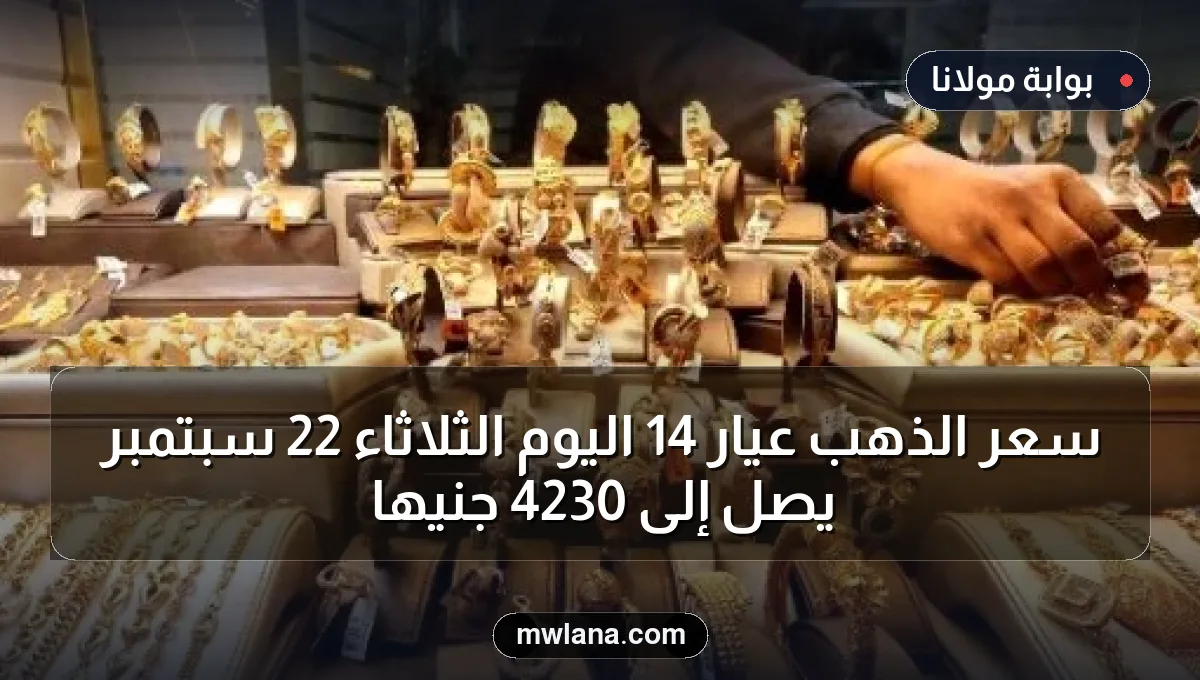 سعر الذهب عيار 14 اليوم الثلاثاء 22 سبتمبر يصل إلى 4230 جنيهًا
