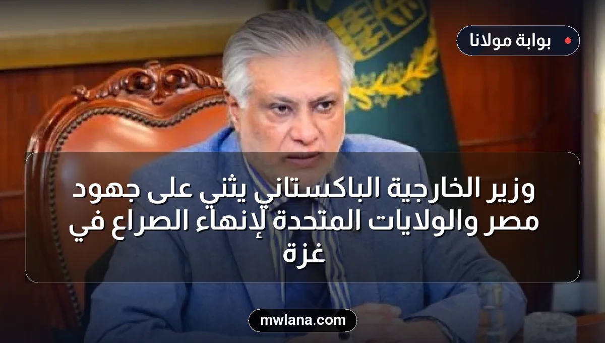 وزير الخارجية الباكستاني يثني على جهود مصر والولايات المتحدة لإنهاء الصراع في غزة