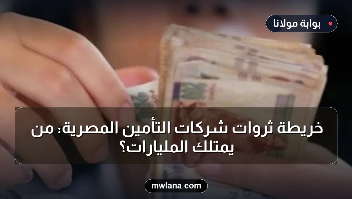 خريطة ثروات شركات التأمين المصرية: من يمتلك المليارات؟