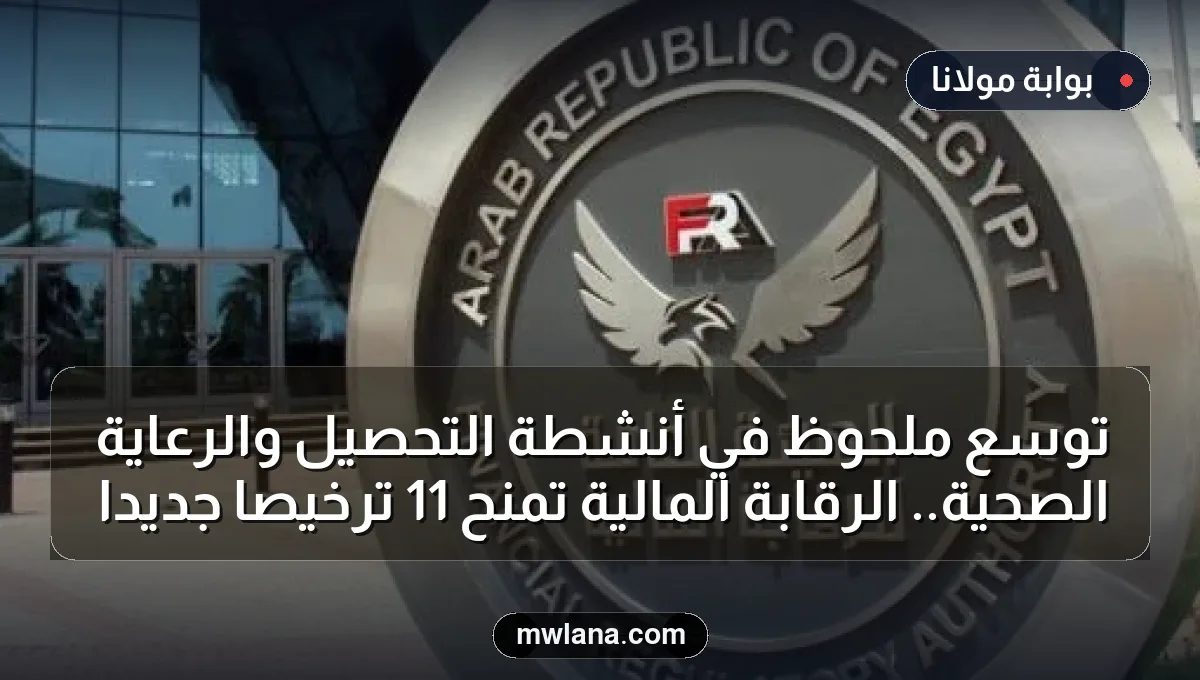 توسع ملحوظ في أنشطة التحصيل والرعاية الصحية.. الرقابة المالية تمنح 11 ترخيصًا جديدًا