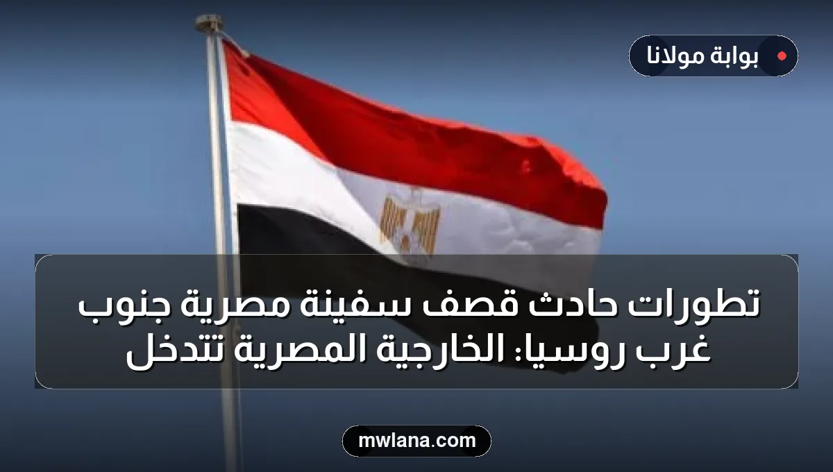 تطورات حادث قصف سفينة مصرية جنوب غرب روسيا: الخارجية المصرية تتدخل