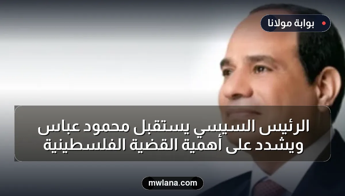 الرئيس السيسي يستقبل محمود عباس ويشدد على أهمية القضية الفلسطينية