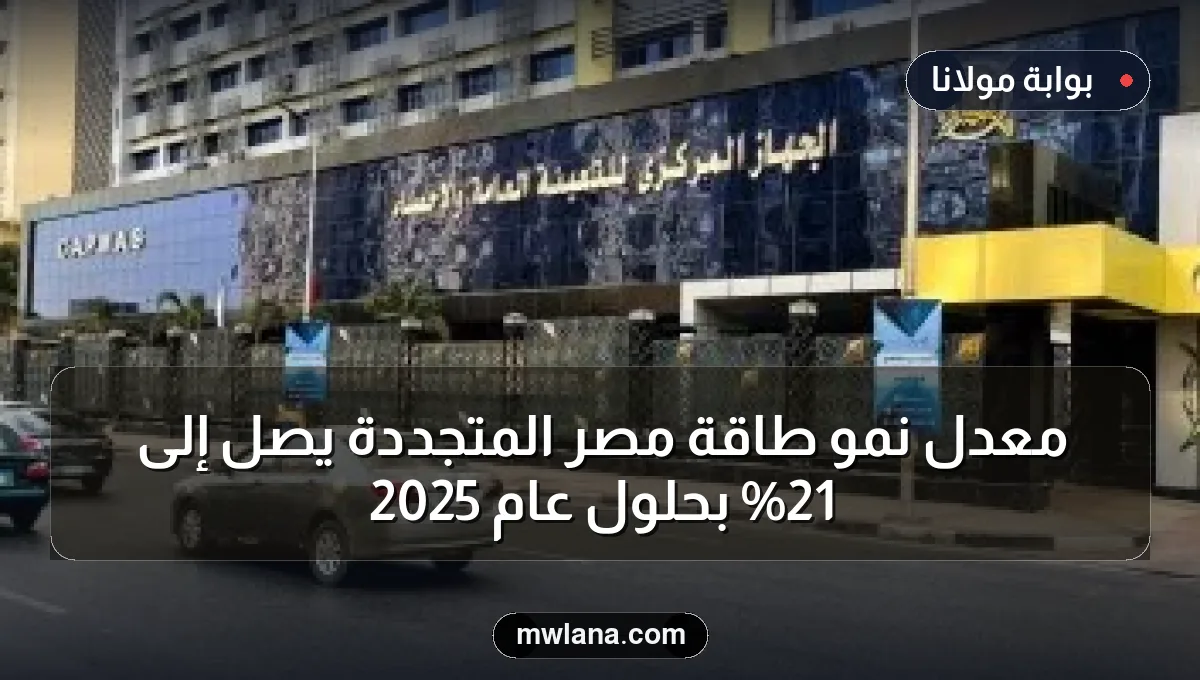 معدل نمو طاقة مصر المتجددة يصل إلى 21% بحلول عام 2025