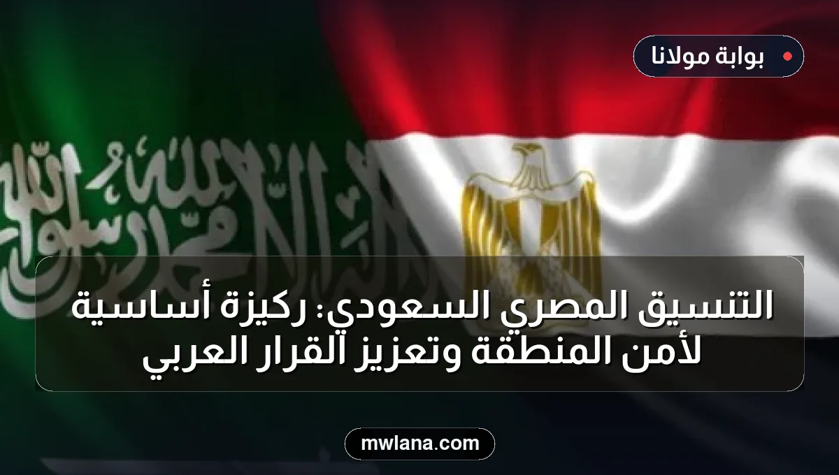 التنسيق المصري السعودي: ركيزة أساسية لأمن المنطقة وتعزيز القرار العربي