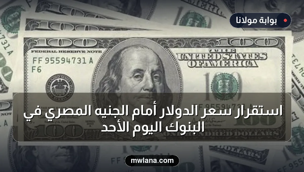 استقرار سعر الدولار أمام الجنيه المصري في البنوك اليوم الأحد