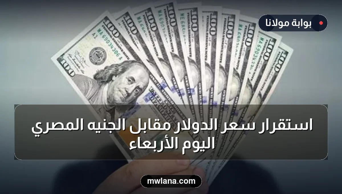 استقرار سعر الدولار مقابل الجنيه المصري اليوم الأربعاء