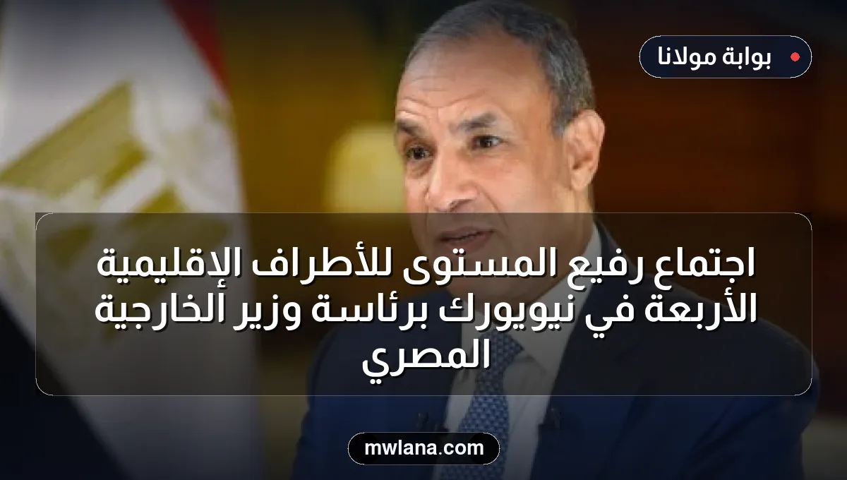 اجتماع رفيع المستوى للأطراف الإقليمية الأربعة في نيويورك برئاسة وزير الخارجية المصري