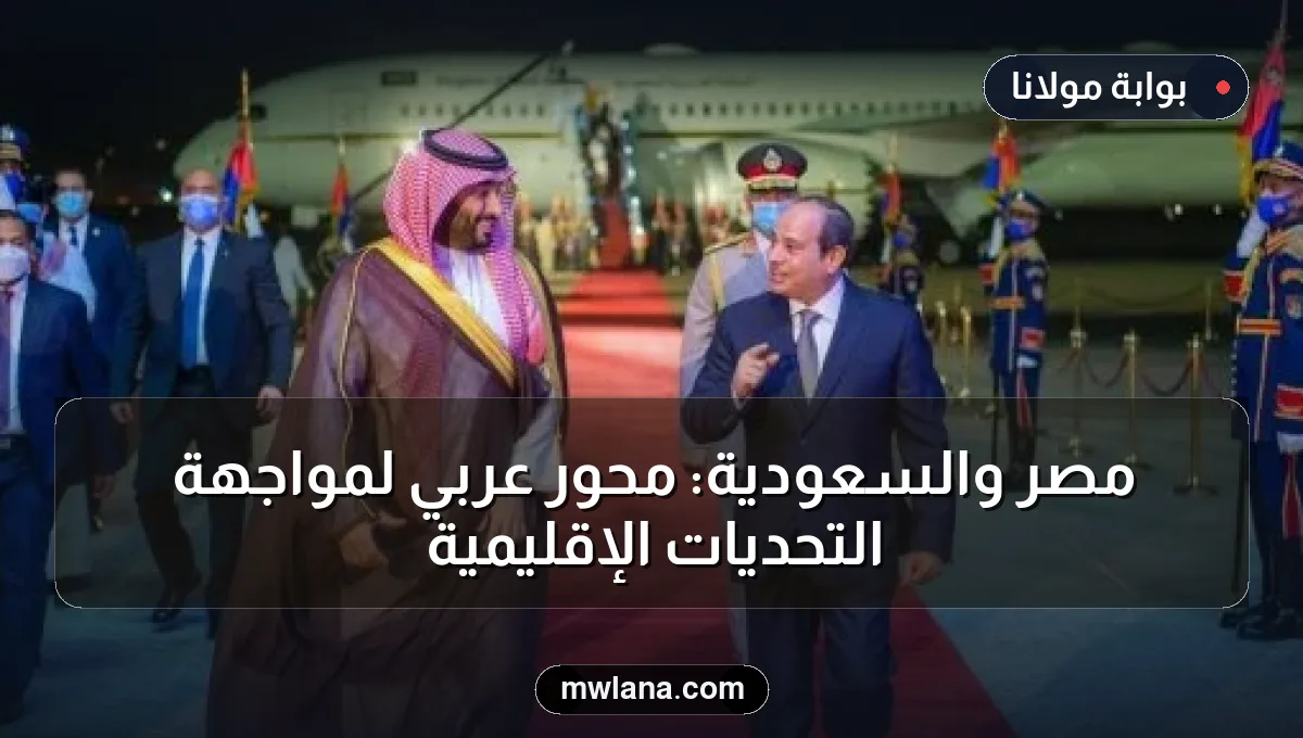 مصر والسعودية: محور عربي لمواجهة التحديات الإقليمية