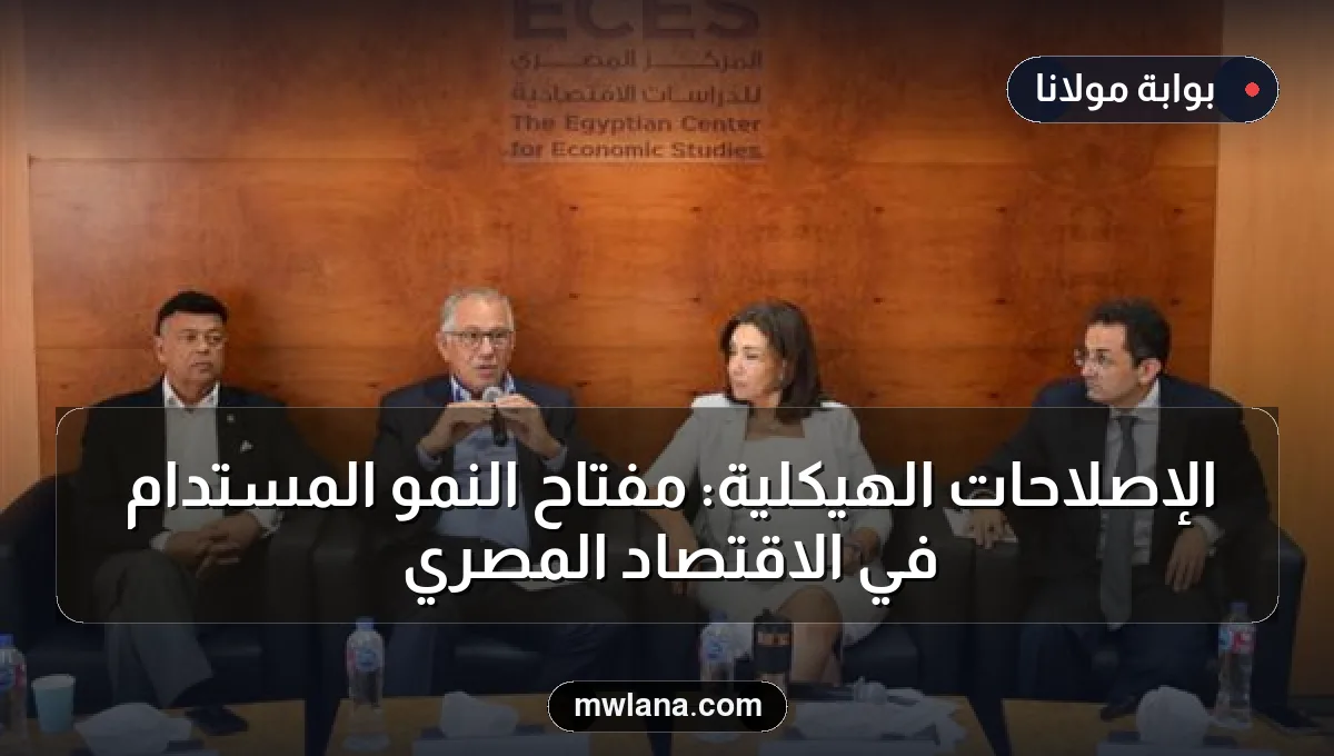 الإصلاحات الهيكلية: مفتاح النمو المستدام في الاقتصاد المصري