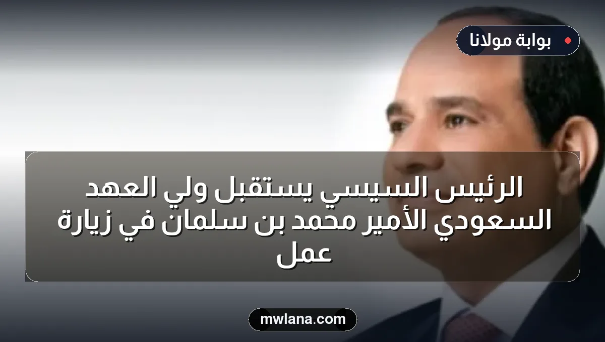 الرئيس السيسي يستقبل ولي العهد السعودي الأمير محمد بن سلمان في زيارة عمل