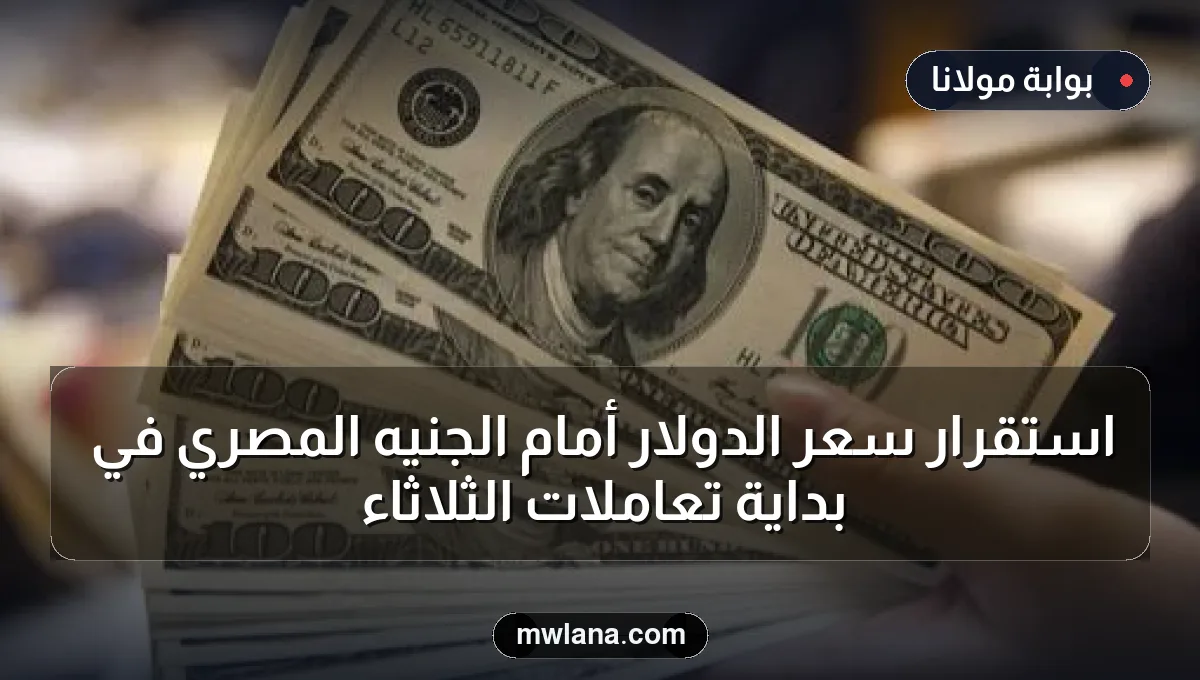 استقرار سعر الدولار أمام الجنيه المصري في بداية تعاملات الثلاثاء