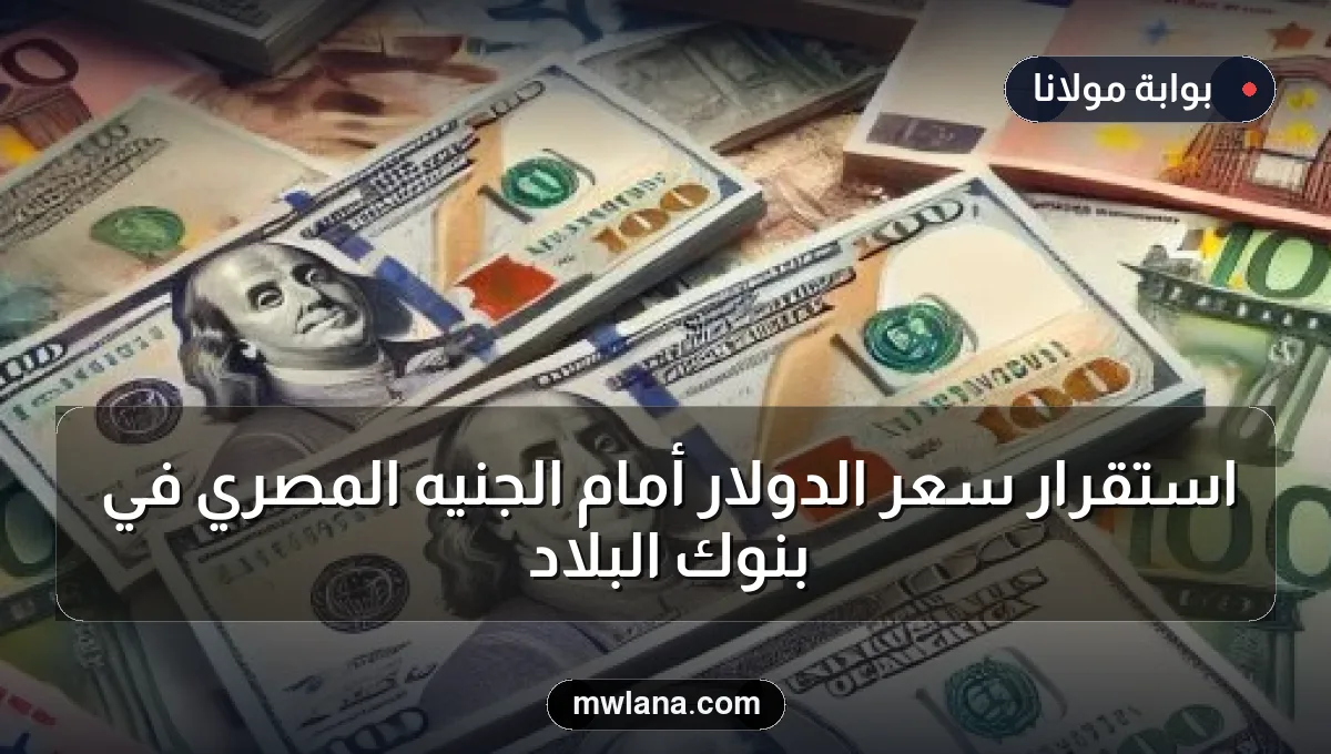 استقرار سعر الدولار أمام الجنيه المصري في بنوك البلاد