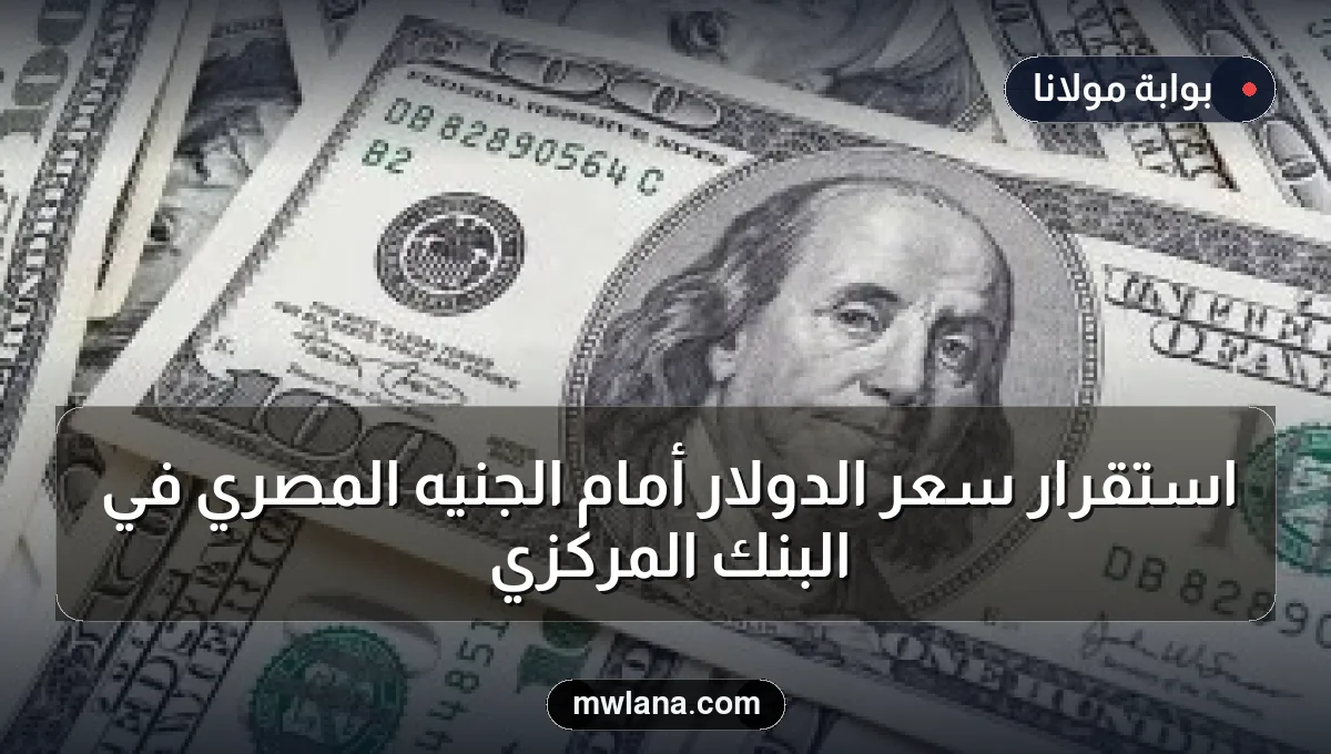 استقرار سعر الدولار أمام الجنيه المصري في البنك المركزي