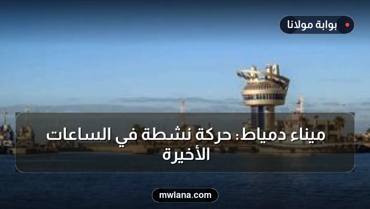 ميناء دمياط: حركة نشطة في الساعات الأخيرة