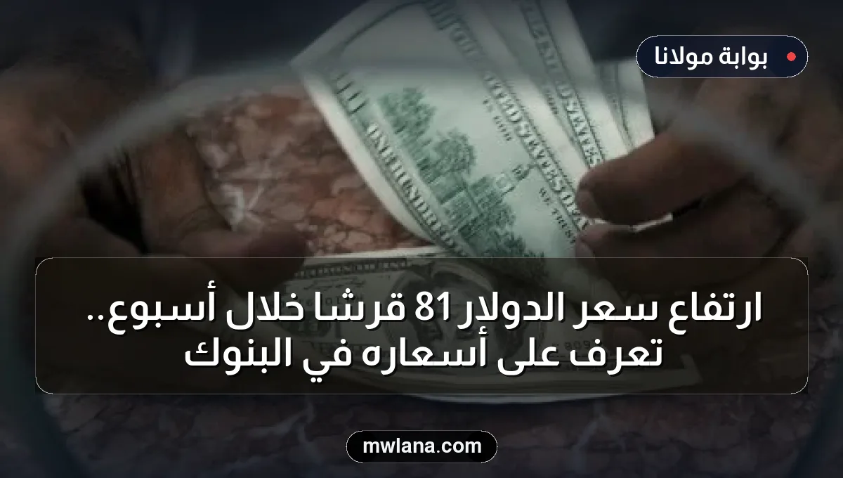 ارتفاع سعر الدولار 81 قرشًا خلال أسبوع.. تعرف على أسعاره في البنوك