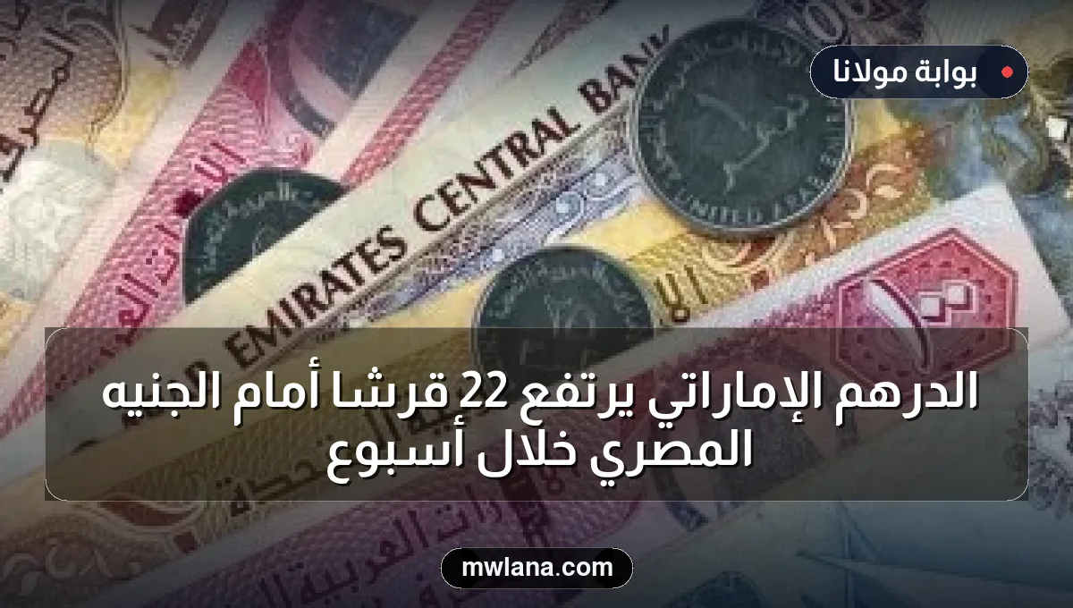 الدرهم الإماراتي يرتفع 22 قرشًا أمام الجنيه المصري خلال أسبوع