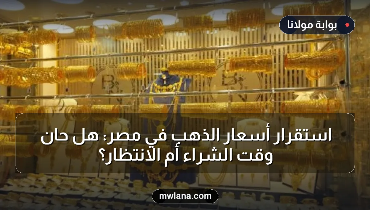 استقرار أسعار الذهب في مصر: هل حان وقت الشراء أم الانتظار؟