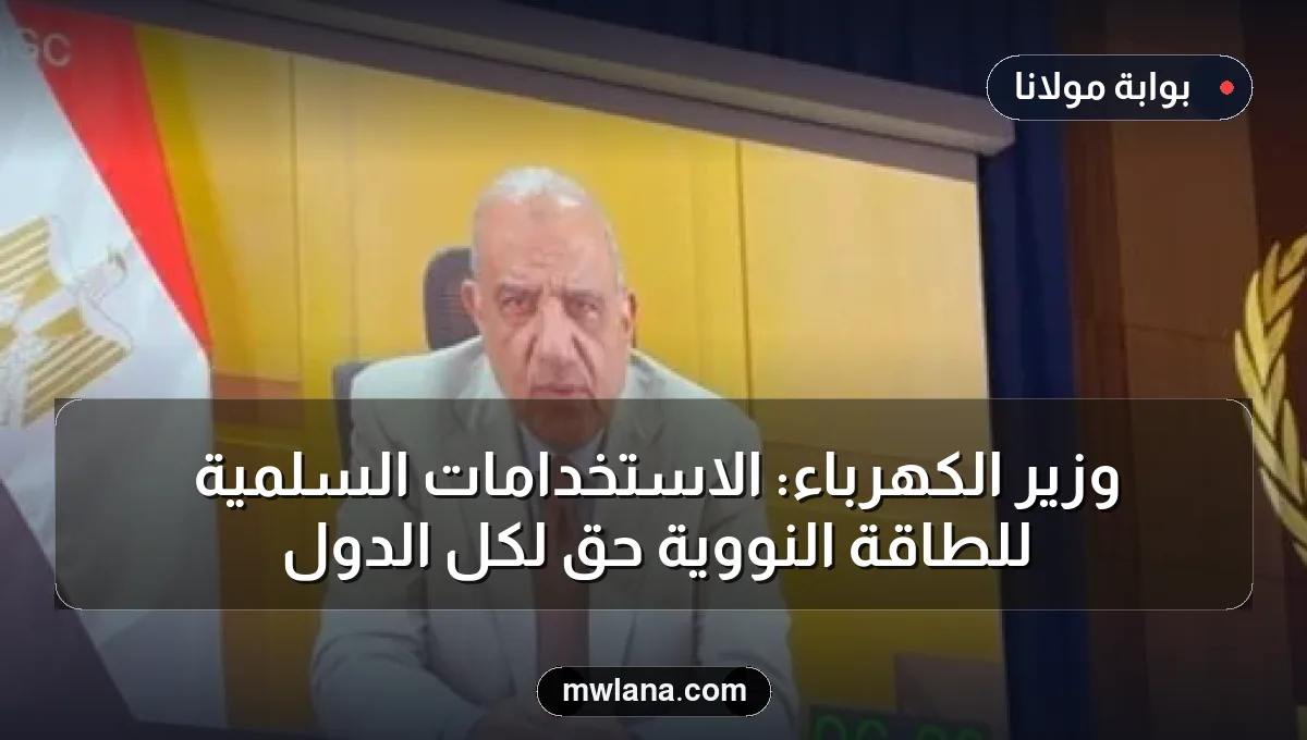 وزير الكهرباء: الاستخدامات السلمية للطاقة النووية حقٌ لكل الدول
