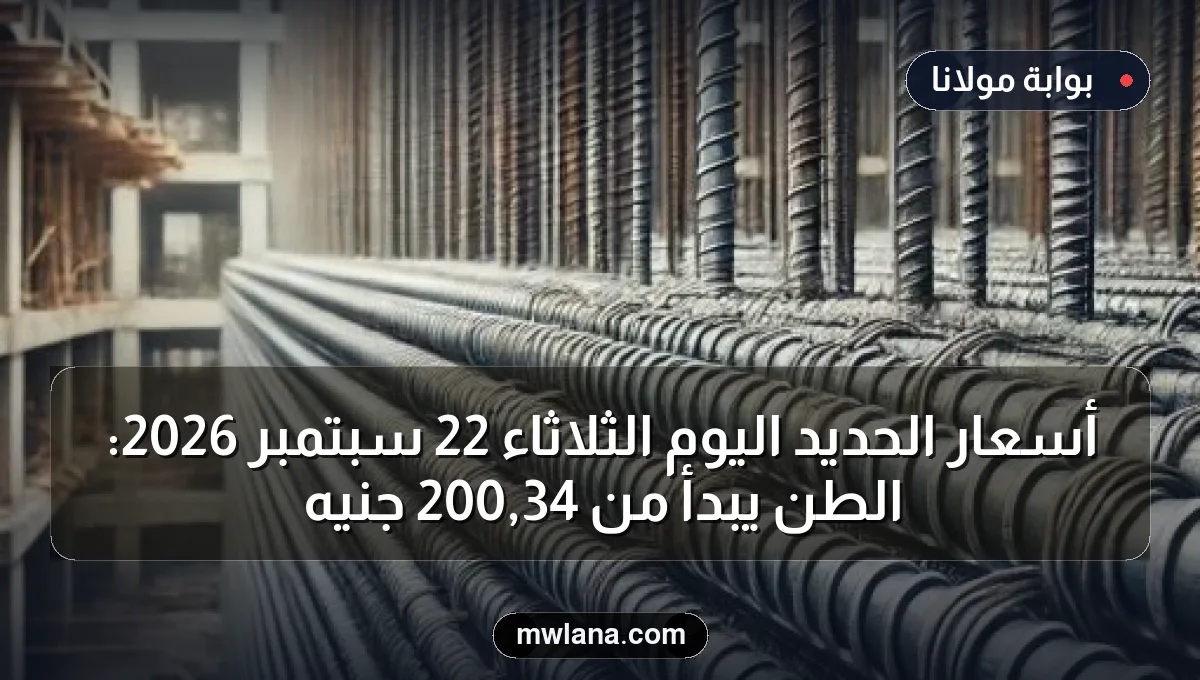 أسعار الحديد اليوم الثلاثاء 22 سبتمبر 2026: الطن يبدأ من 34,200 جنيه