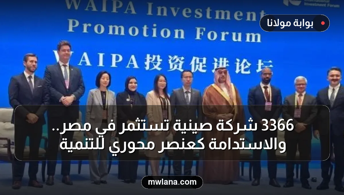 3366 شركة صينية تستثمر في مصر.. والاستدامة كعنصر محوري للتنمية