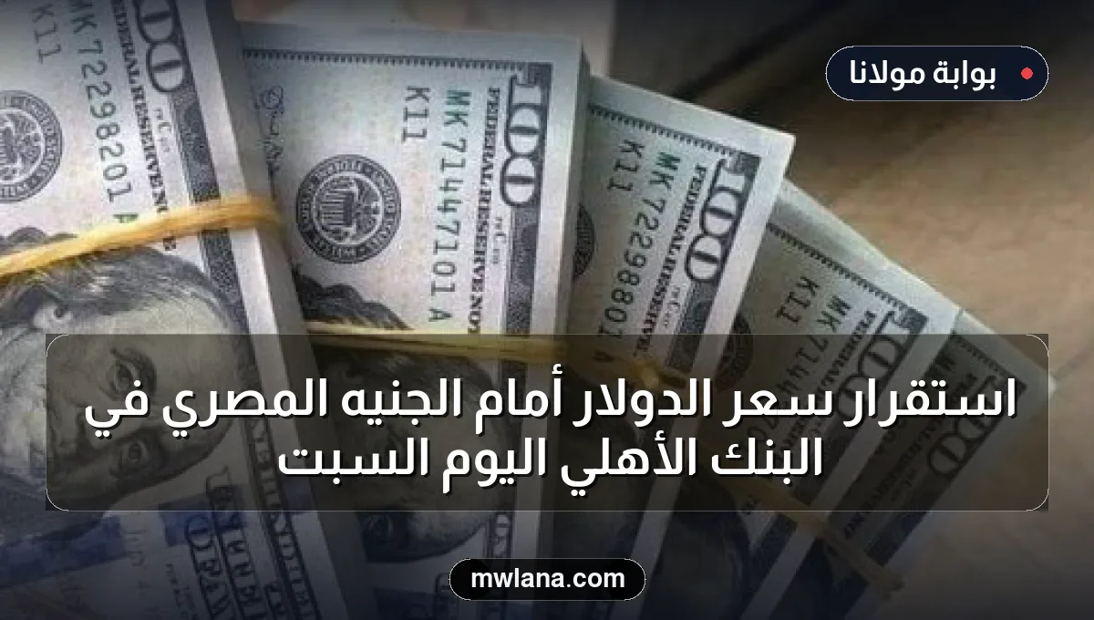 استقرار سعر الدولار أمام الجنيه المصري في البنك الأهلي اليوم السبت