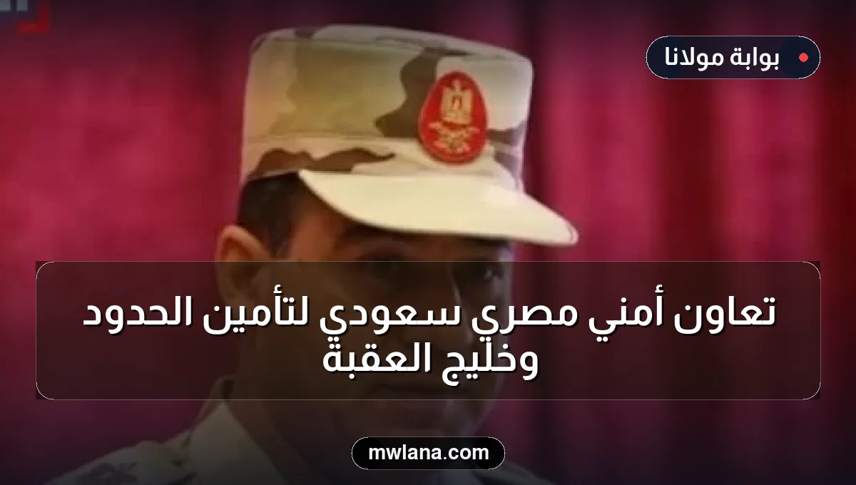 تعاون أمني مصري سعودي لتأمين الحدود وخليج العقبة