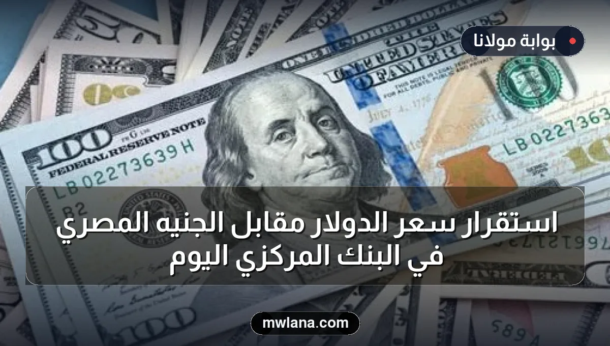 استقرار سعر الدولار مقابل الجنيه المصري في البنك المركزي اليوم